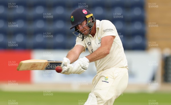 190626 - Glamorgan v Surrey, Rothesay County Championship Division 1- Chris Cooke of Glamorgan plays a shot