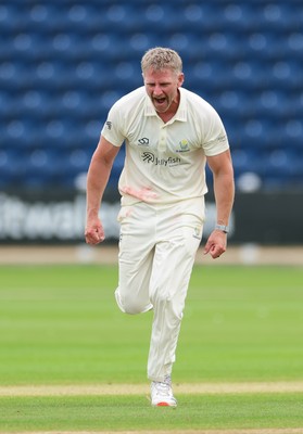 200626 - Glamorgan v Surrey, Rothesay County Championship Division 1- Timm van der Gugten of Glamorgan celebrates as he dismisses Ryan Patel of Surrey caught and bowled