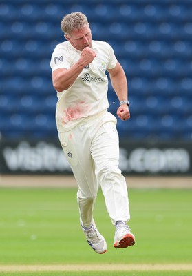 200626 - Glamorgan v Surrey, Rothesay County Championship Division 1- Timm van der Gugten of Glamorgan celebrates as he dismisses Ryan Patel of Surrey caught and bowled