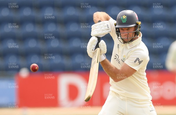 200626 - Glamorgan v Surrey, Rothesay County Championship Division 1- Colin Ingram of Glamorgan plays a shot