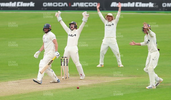 200626 - Glamorgan v Surrey, Rothesay County Championship Division 1- Surrey fielders appeal for the wicket of Tom Norton  of Glamorgan who is give out lbw off Rahul Chahar of Surrey