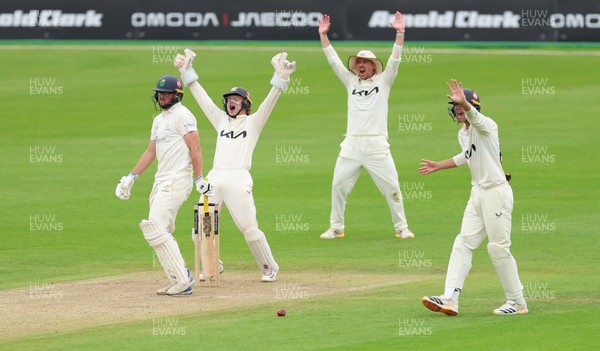 200626 - Glamorgan v Surrey, Rothesay County Championship Division 1- Surrey fielders appeal for the wicket of Tom Norton  of Glamorgan who is give out lbw off Rahul Chahar of Surrey