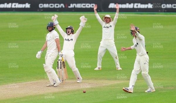 200626 - Glamorgan v Surrey, Rothesay County Championship Division 1- Surrey fielders appeal for the wicket of Tom Norton  of Glamorgan who is give out lbw off Rahul Chahar of Surrey