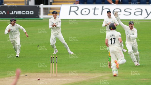 200626 - Glamorgan v Surrey, Rothesay County Championship Division 1- Glamorgan celebrate as Rory Burns of Surrey is run out by Ben Kellaway of Glamorgan
