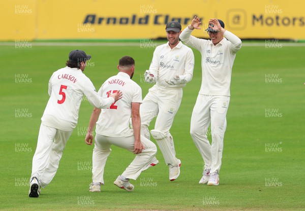200626 - Glamorgan v Surrey, Rothesay County Championship Division 1- Tom Norton  of Glamorgan celebrates after taking the wicket of Dan Lawrence of Surrey