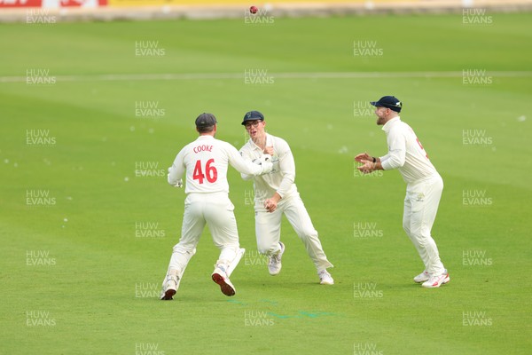 200626 - Glamorgan v Surrey, Rothesay County Championship Division 1- Asa Tribe of Glamorgan celebrates with Chris Cooke of Glamorgan as he catches Gus Atkinson of Surrey