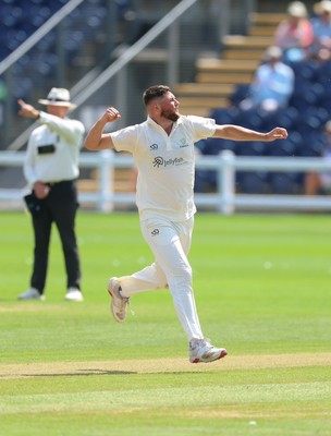 210626 - Glamorgan v Surrey, Rothesay County Championship Division 1- Tom Norton  of Glamorgan celebrates as he takes the wicket of Rory Burns of Surrey