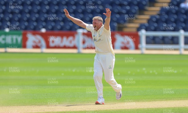 210626 - Glamorgan v Surrey, Rothesay County Championship Division 1- Timm van der Gugten of Glamorgan makes an appeal