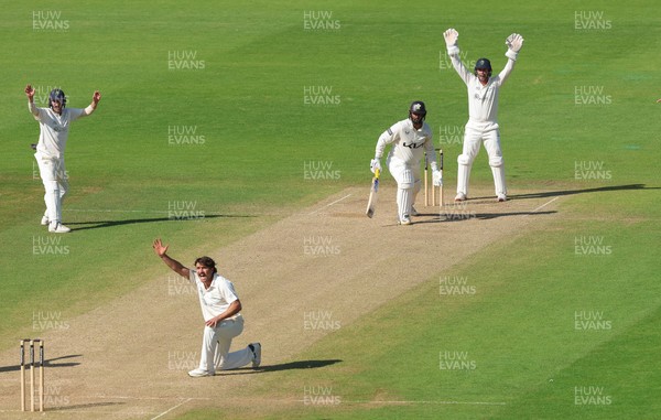 210626 - Glamorgan v Surrey, Rothesay County Championship Division 1- Kiran Carlson of Glamorgan makes on appeal for the wicket of Ryan Patel of Surrey