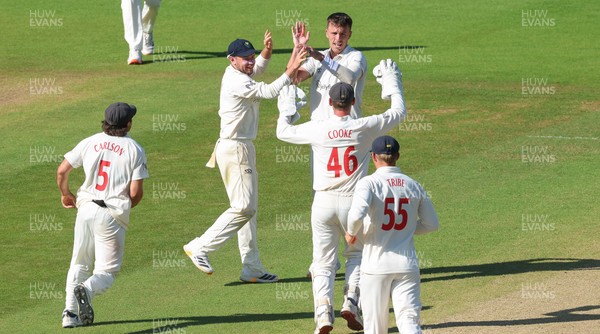 210626 - Glamorgan v Surrey, Rothesay County Championship Division 1- Ryan Hadley of Glamorgan celebrates after taking the wicket of Ryan Patel of Surrey