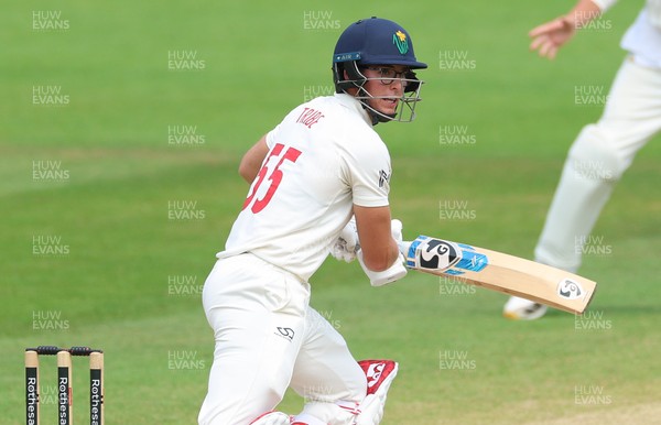 220626 - Glamorgan v Surrey, Rothesay County Championship Division 1- Asa Tribe of Glamorgan plays a shot