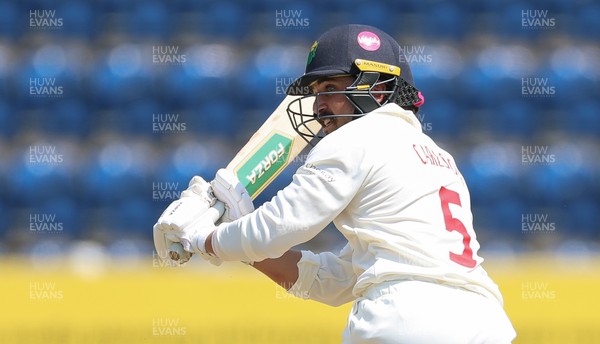 220626 - Glamorgan v Surrey, Rothesay County Championship Division 1- Kiran Carlson of Glamorgan plays a shot