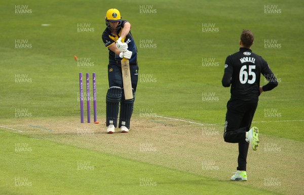 280419 - Glamorgan v Surrey, Royal London One Day Cup - Chris Cooke of Glamorgan is bowled by Morne Morkel of Surrey
