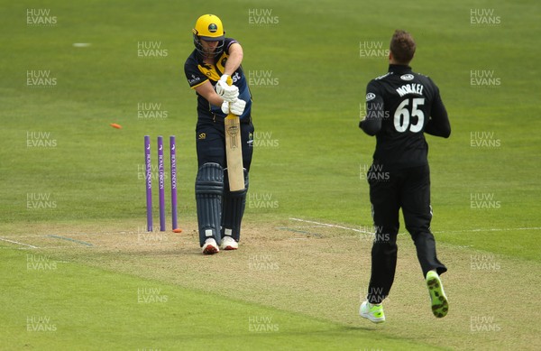 280419 - Glamorgan v Surrey, Royal London One Day Cup - Chris Cooke of Glamorgan is bowled by Morne Morkel of Surrey