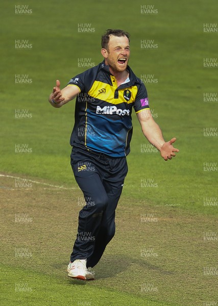 280419 - Glamorgan v Surrey, Royal London One Day Cup - Graham Wagg of Glamorgan celebrates after taking the wicket of Jamie Smith of Surrey