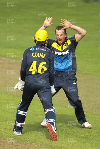 280419 - Glamorgan v Surrey, Royal London One Day Cup - Graham Wagg of Glamorgan celebrates with Chris Cooke of Glamorgan after taking the wicket of Jamie Smith of Surrey