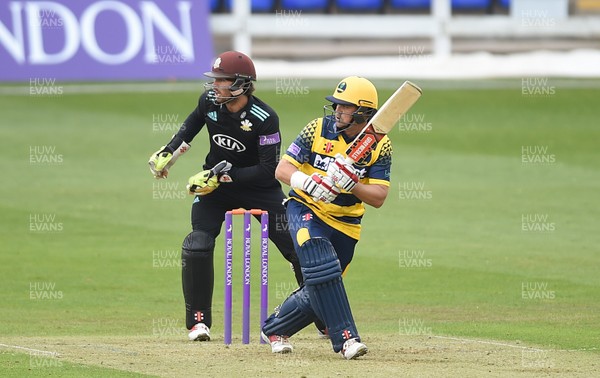 300417 - Glamorgan v Surrey - Royal London One Day Cup - Jacques Rudolph of Glamorgan plays a shot off the bowling of Gareth Batty