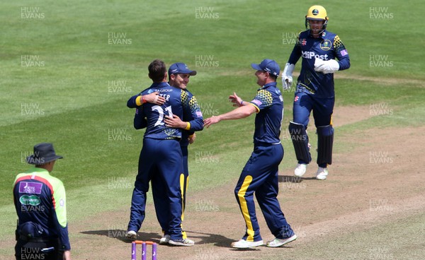 010618 - Glamorgan v Sussex - Royal London One Day Cup - Andrew Salter celebrates with team mates after bowling Harry Finch for LBW