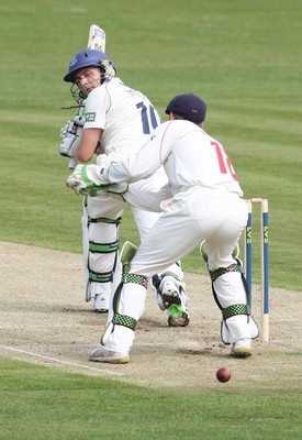 09.04.10 ... Glamorgan v Sussex, LV County Championship, SWALEC Stadium, Cardiff -  Sussex's Luke Wright plays his shot past Glamorgan wicket-keeper Mark Wallace 