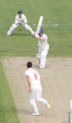 09.04.10 ... Glamorgan v Sussex, LV County Championship, SWALEC Stadium, Cardiff -  Sussex's Murray Goodwin in bowled out by Glamorgan's James Allenby 