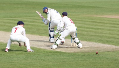 09.04.10 ... Glamorgan v Sussex, LV County Championship, SWALEC Stadium, Cardiff -  Sussex' s Robin Martin-Jenkis plays his shot past Glamorgans Mark Wallace and James Dalrymple 