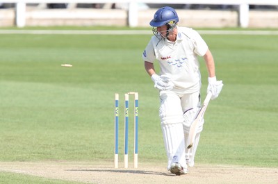 11.04.10 ... Glamorgan v Sussex, LV County Championship, SWALEC Stadium, Cardiff -  Sussex's Murray Goodwin is bowled by Glamorgans Christopher Ashling for 83 