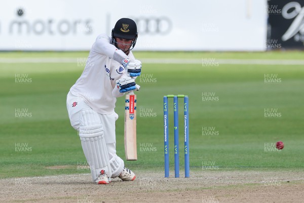 120622 - Glamorgan v Sussex, LV= County Championship, Division 2 - Tom Clark of Sussex plays a shot