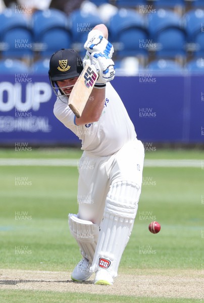 120622 - Glamorgan v Sussex, LV= County Championship, Division 2 - Tim Seifert of Sussex plays a shot