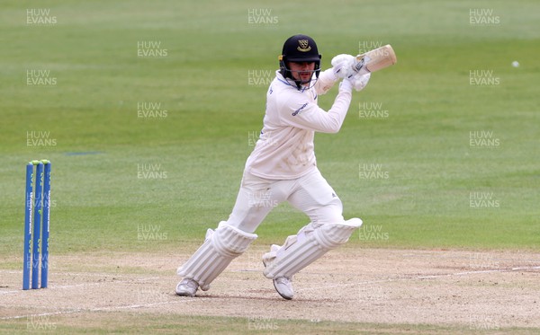 130622 - Glamorgan v Sussex - LV= County Championship - Division Two - Oli Carter of Sussex batting