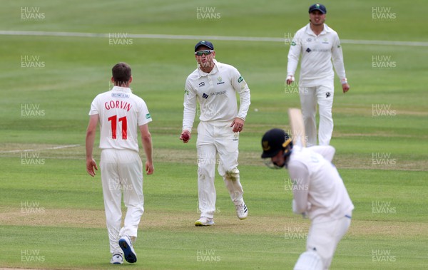 130622 - Glamorgan v Sussex - LV= County Championship - Division Two - Colin Ingram of Glamorgan celebrates taking the wicket of Henry Crocombe