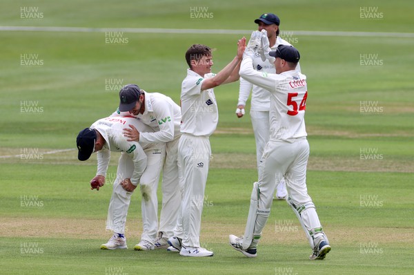 130622 - Glamorgan v Sussex - LV= County Championship - Division Two - Andrew Gorvin celebrates with team mates after Henry Crocombe is caught by Colin Ingram