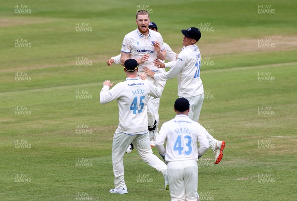 130622 - Glamorgan v Sussex - LV= County Championship - Division Two - Sean Hunt of Sussex celebrates the wicket David Lloyd of Glamorgan who was caught by Tim Seifert