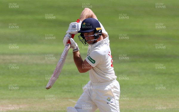 130622 - Glamorgan v Sussex - LV= County Championship - Division Two - Colin Ingram of Glamorgan batting