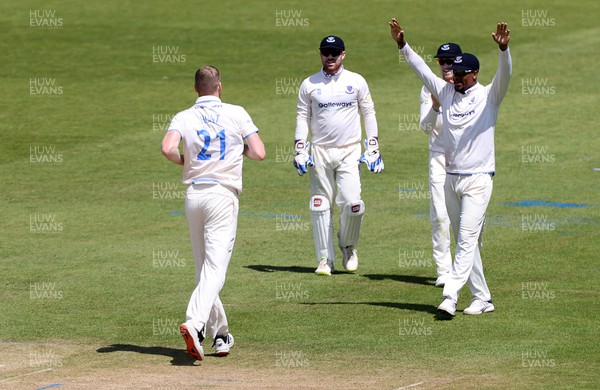 140622 - Glamorgan v Sussex - LV= County Championship - Division Two - Sean Hunt of Sussex celebrates after bowling Billy Root of Glamorgan out for LBW