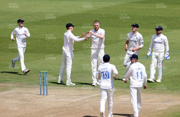140622 - Glamorgan v Sussex - LV= County Championship - Division Two - Sean Hunt of Sussex celebrates after bowling Billy Root of Glamorgan out for LBW