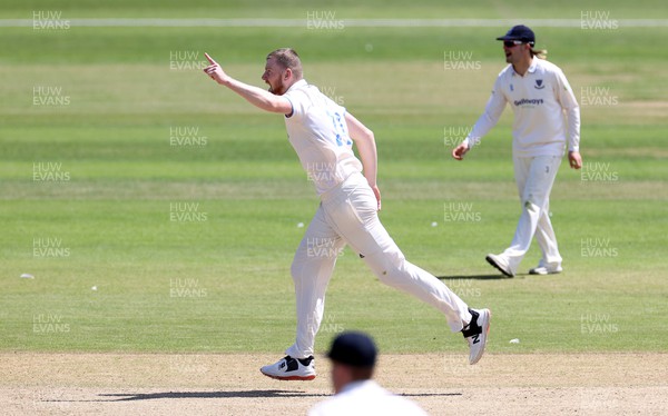 140622 - Glamorgan v Sussex - LV= County Championship - Division Two - Sean Hunt of Sussex celebrates taking the wicket of James Weighell of Glamorgan