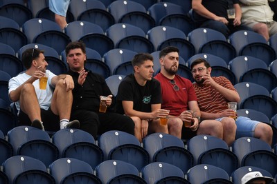 140625 - Glamorgan v Sussex - Vitality Blast - Fans