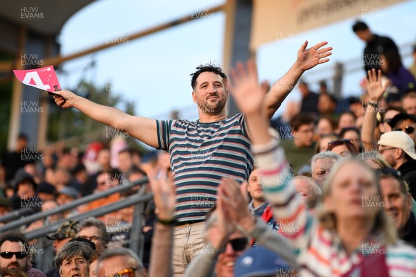 140625 - Glamorgan v Sussex - Vitality Blast - Fans during the scatter blast