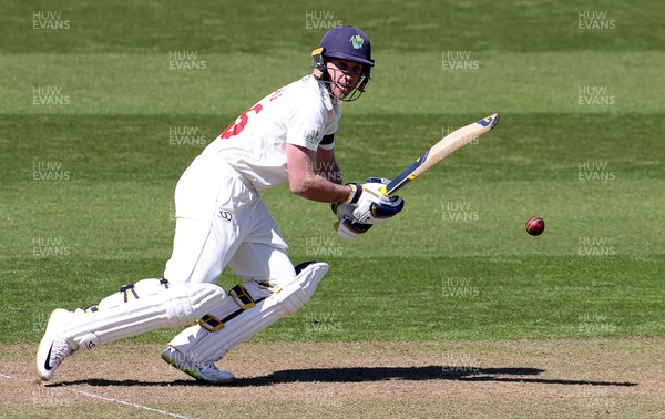 150421 - Glamorgan v Sussex - LV= County Championship - Chris Cooke of Glamorgan batting