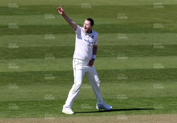 150421 - Glamorgan v Sussex - LV= County Championship - Ollie Robinson of Sussex celebrates taking the wicket of Chris Cooke