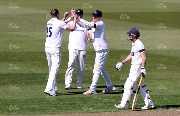 150421 - Glamorgan v Sussex - LV= County Championship - Ollie Robinson of Sussex celebrates taking the wicket of Chris Cooke with team mates