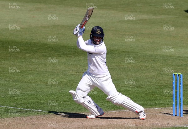 160421 - Glamorgan v Sussex - LV= County Championship - Tom Haines of Sussex batting