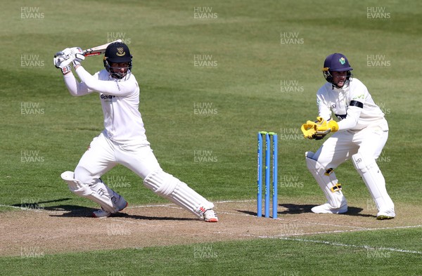160421 - Glamorgan v Sussex - LV= County Championship - Tom Haines of Sussex batting