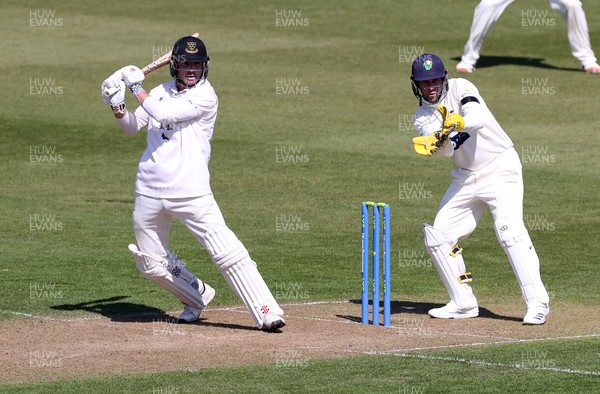 160421 - Glamorgan v Sussex - LV= County Championship - Stiaan van Zyl of Sussex batting