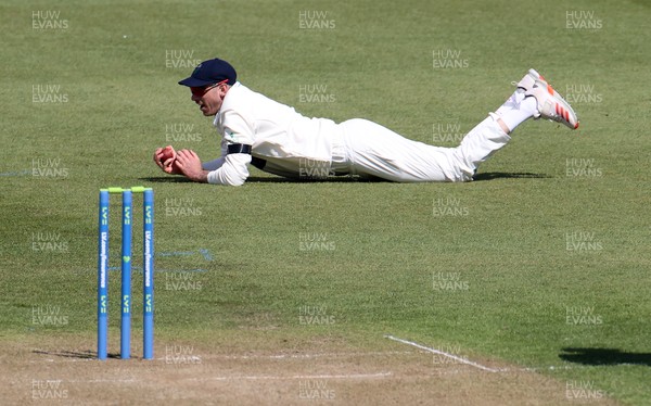 160421 - Glamorgan v Sussex - LV= County Championship - James Weighell of Glamorgan catches Tom Clark of Sussex