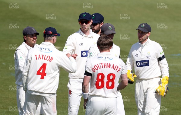 160421 - Glamorgan v Sussex - LV= County Championship - James Weighell of Glamorgan celebrates catching Tom Clark of Sussex
