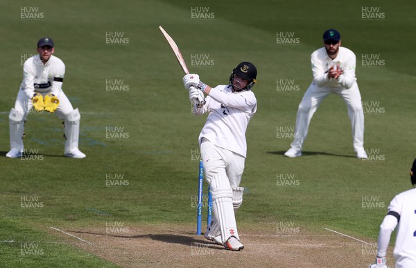 160421 - Glamorgan v Sussex - LV= County Championship - Stiaan van Zyl of Sussex batting