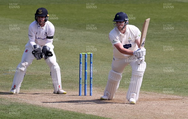 180421 - Glamorgan v Sussex - LV= County Championship - Dan Douthwaite of Glamorgan batting