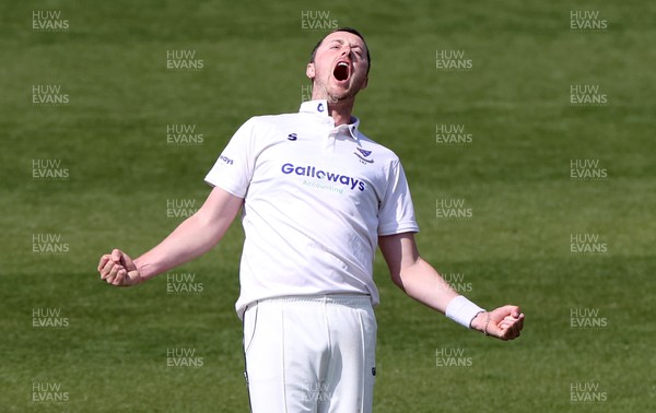 180421 - Glamorgan v Sussex - LV= County Championship - Ollie Robinson of Sussex celebrates after bowling out Dan Douthwaite for lbw