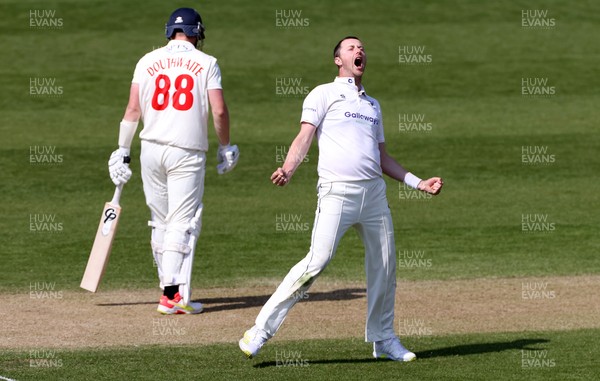 180421 - Glamorgan v Sussex - LV= County Championship - Ollie Robinson of Sussex celebrates after bowling out Dan Douthwaite for lbw